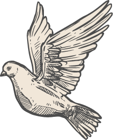 Bird image